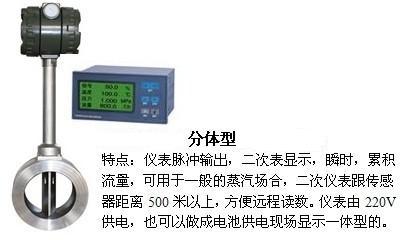 dn25涡街流量计分体型产品图