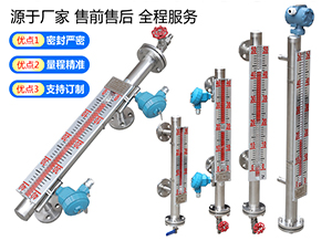 防腐磁翻板液位计